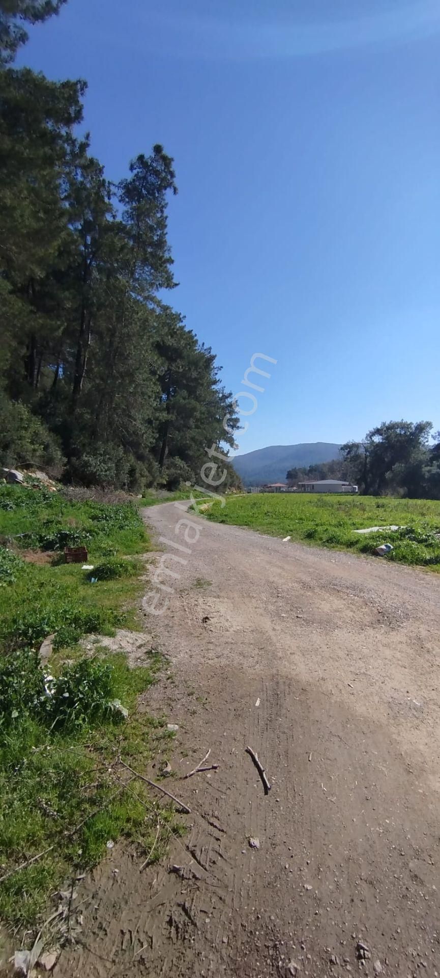 Menderes Çile Köyünde Emsali Az Olan Satılık Tarla - Görsel 4