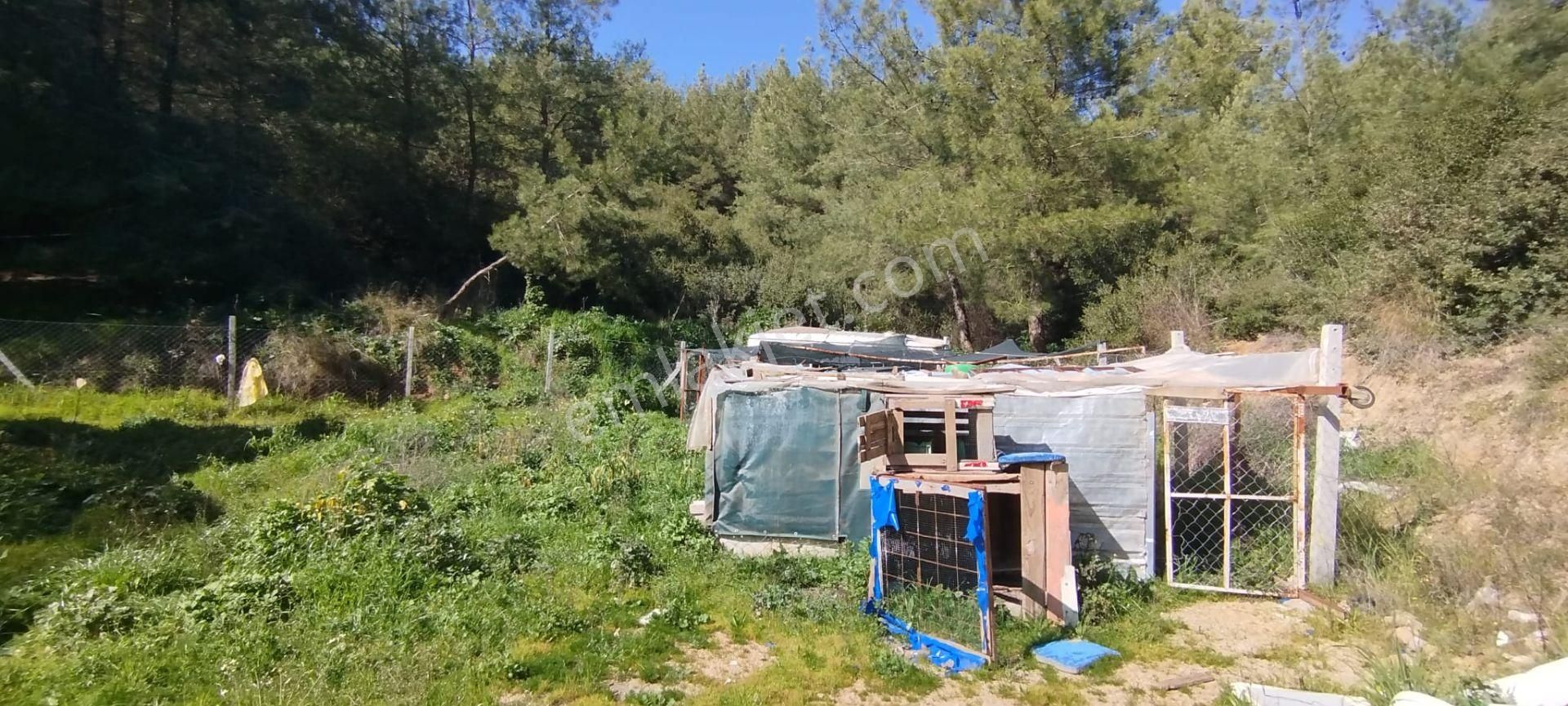 Menderes Çile Köyünde Emsali Az Olan Satılık Tarla - Görsel 7