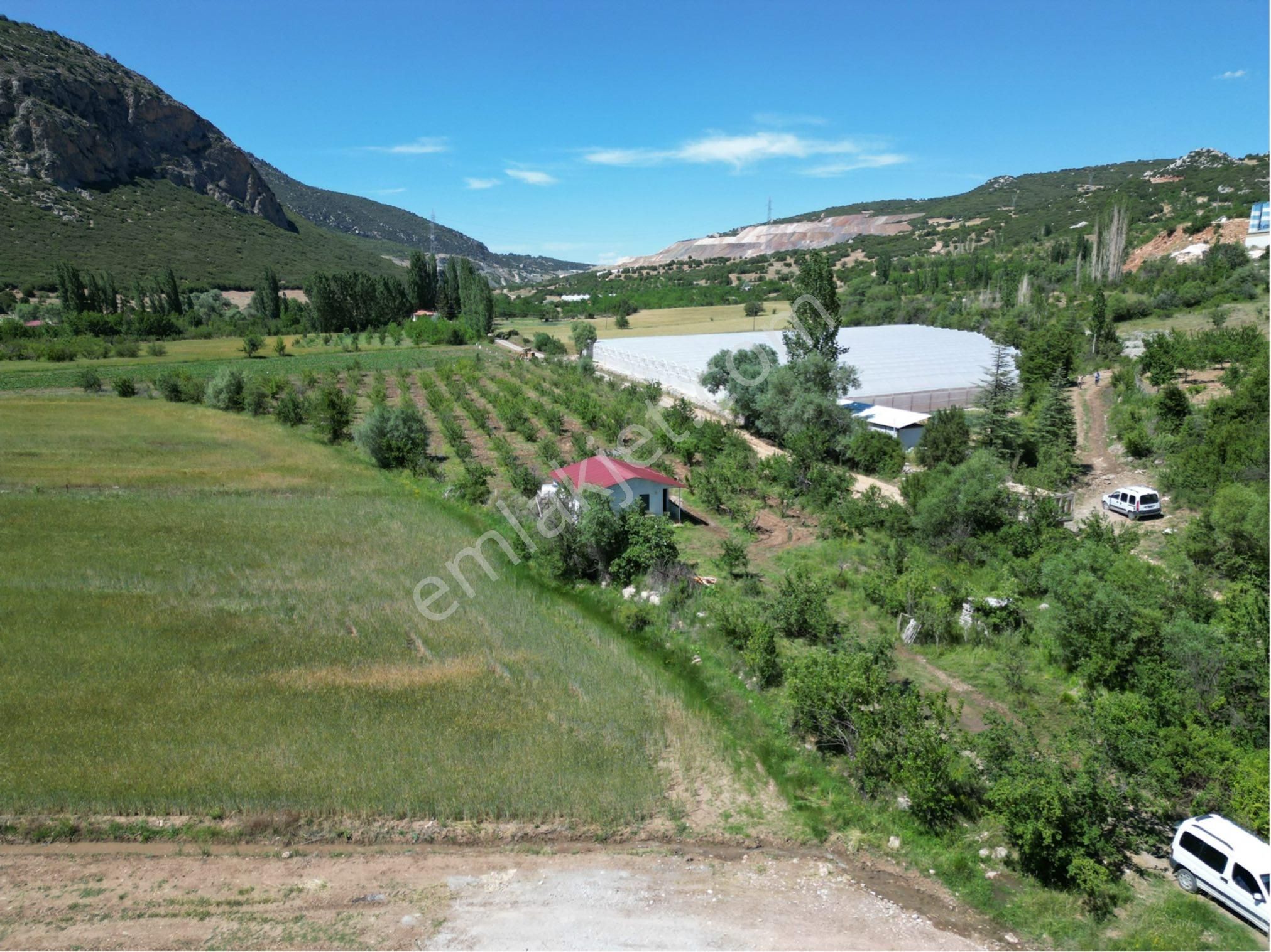 Seydikemer Seki Satılık Bağ & Bahçe Yayla Sekide Elma Bahçesi