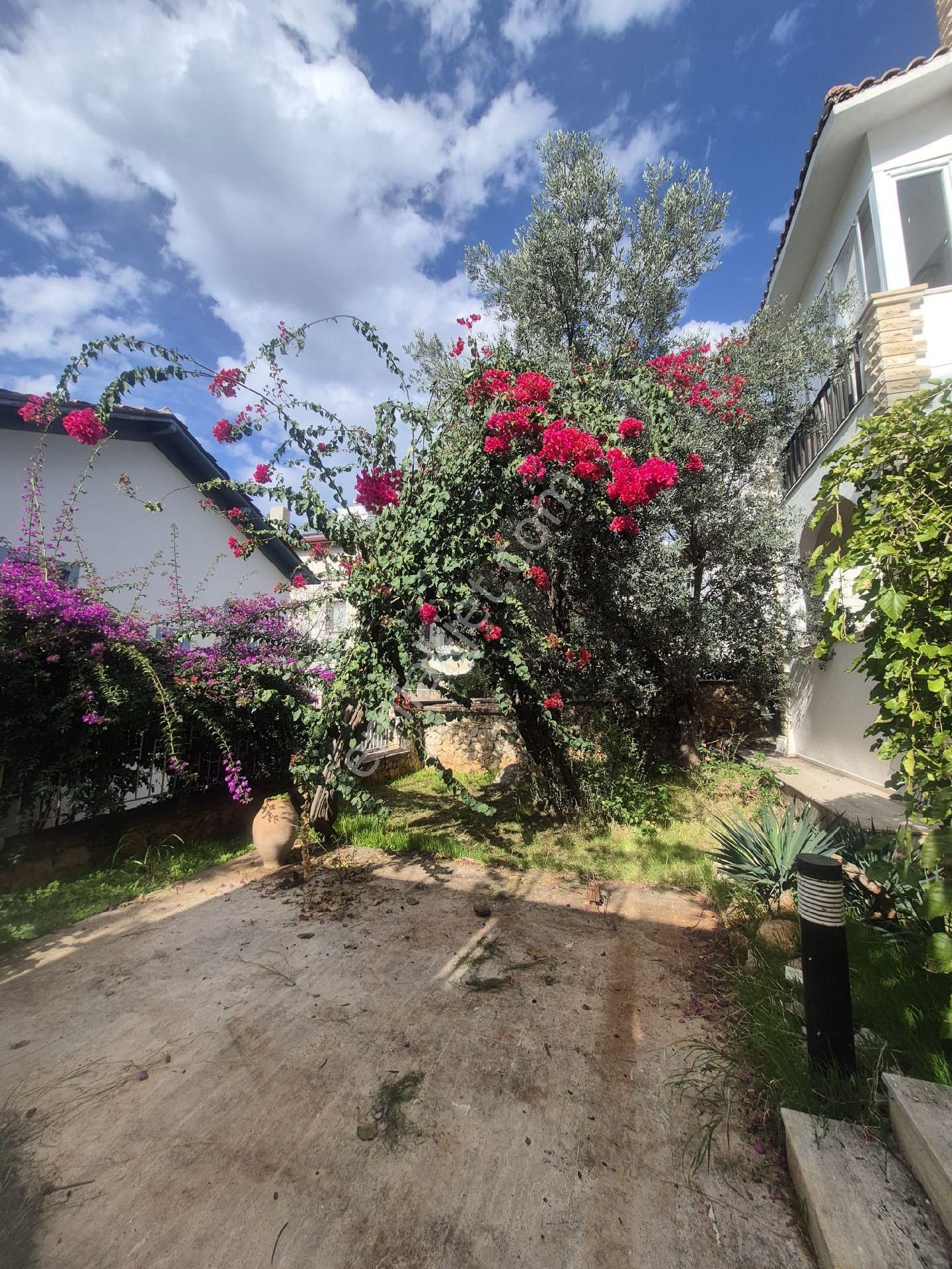 Antalya Kaş -kalkan -kalamar Da Satılık Villa. - Görsel 5