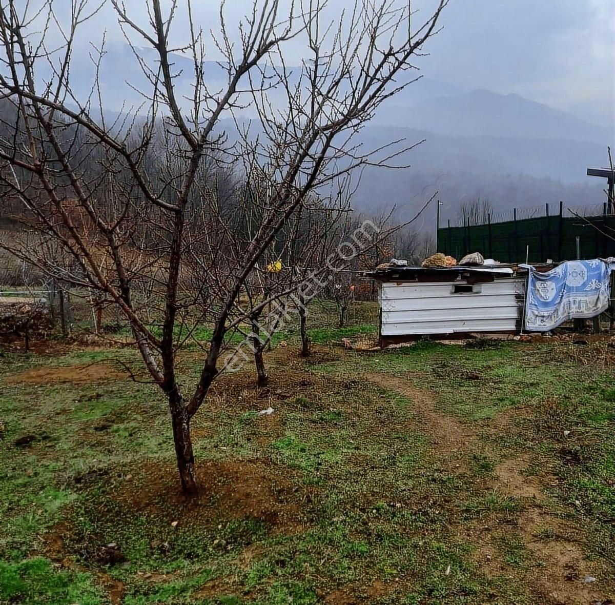 Kestel Burhaniye Satılık Tarla Kestel Burhaniyede Hobibahçesi