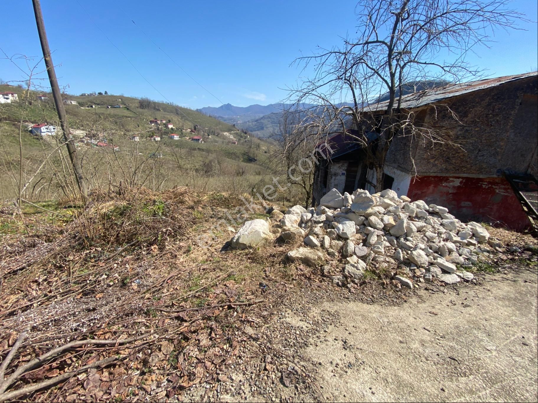 Safir Emlak'tan Alembey'de 11.365m2 Satılık Fındık Bahçesi - Görsel 4