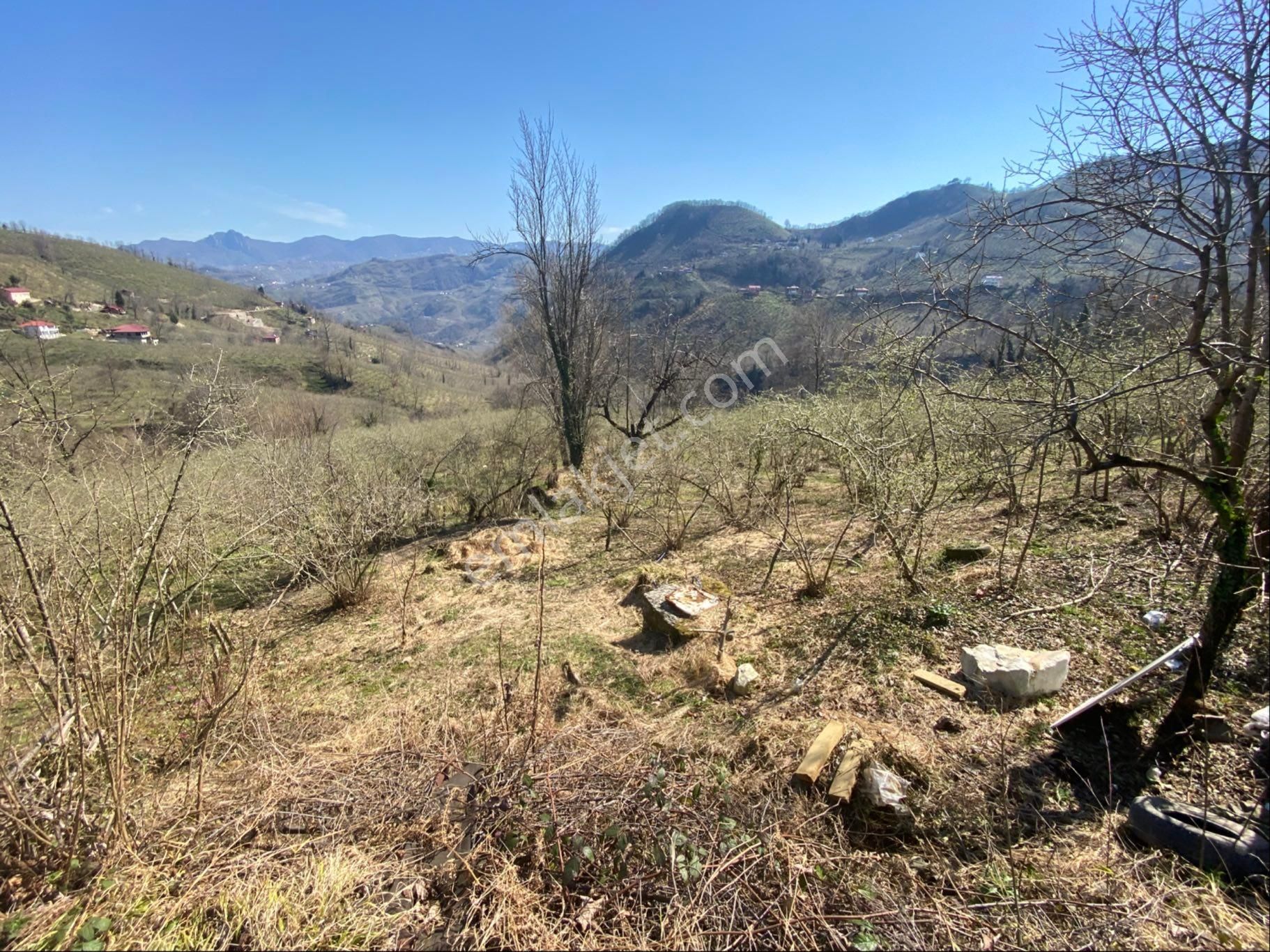 Safir Emlak'tan Alembey'de 11.365m2 Satılık Fındık Bahçesi - Görsel 3