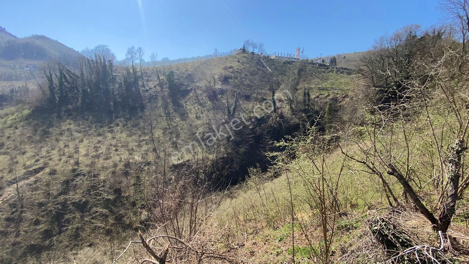 Safir Emlak'tan Alembey'de 11.365m2 Satılık Fındık Bahçesi - Görsel 27