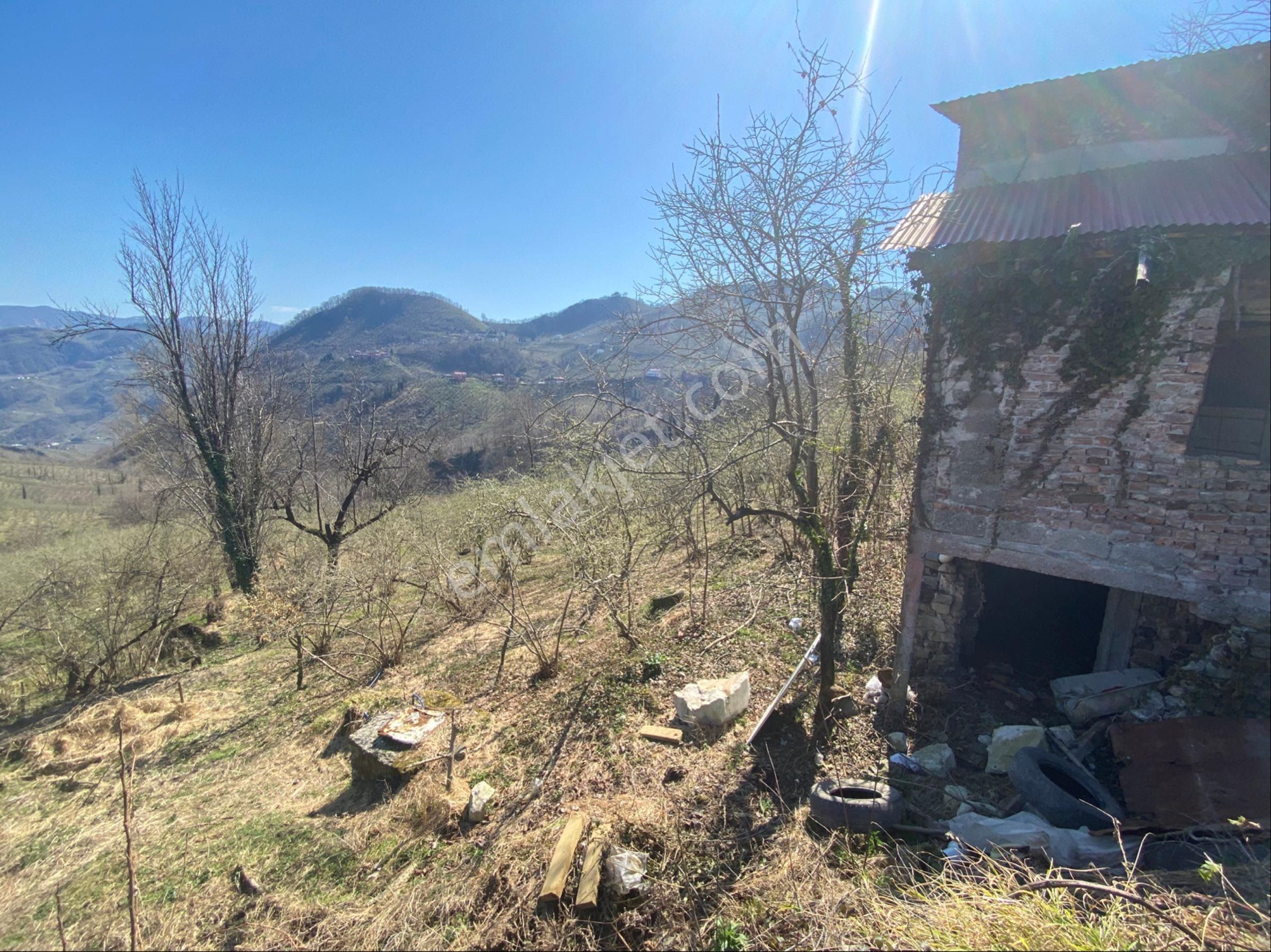 Safir Emlak'tan Alembey'de 11.365m2 Satılık Fındık Bahçesi - Görsel 6