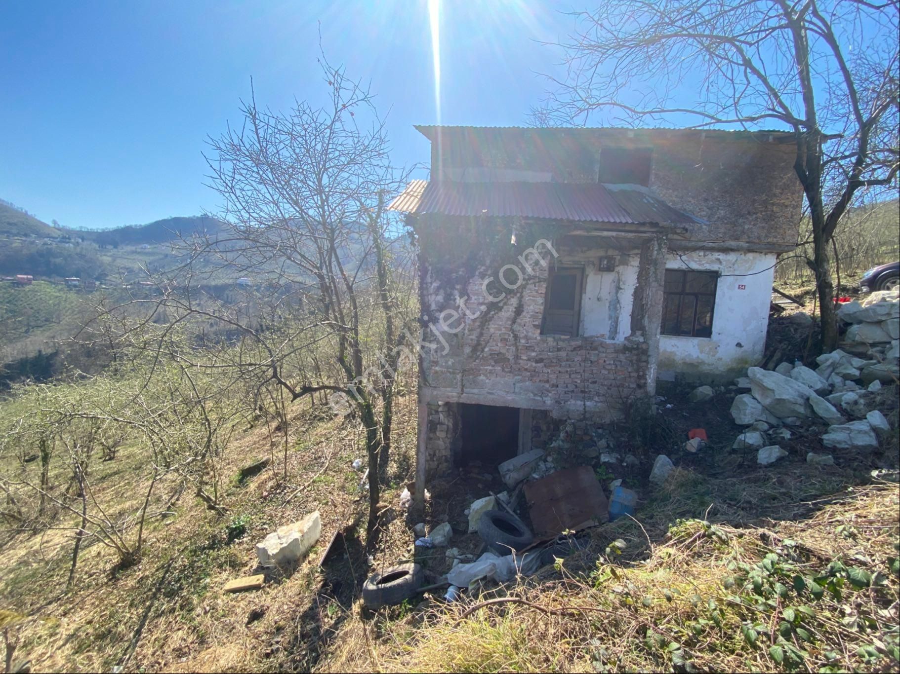 Safir Emlak'tan Alembey'de 11.365m2 Satılık Fındık Bahçesi - Görsel 7