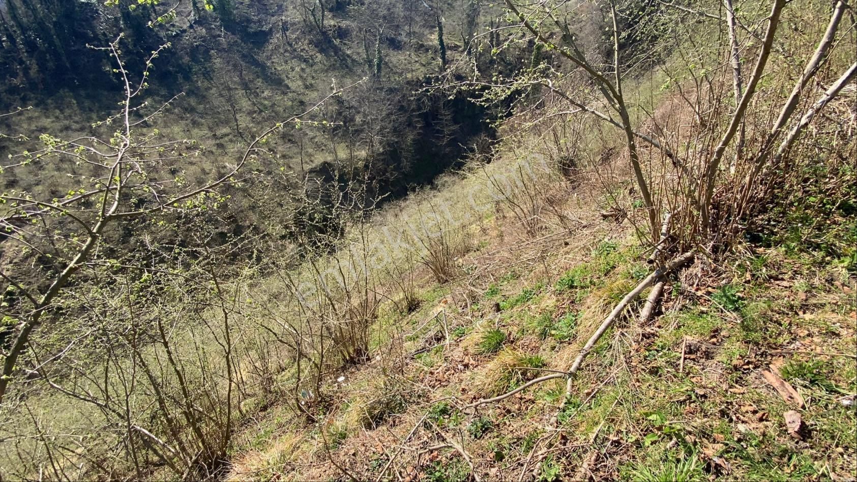 Safir Emlak'tan Alembey'de 11.365m2 Satılık Fındık Bahçesi - Görsel 33