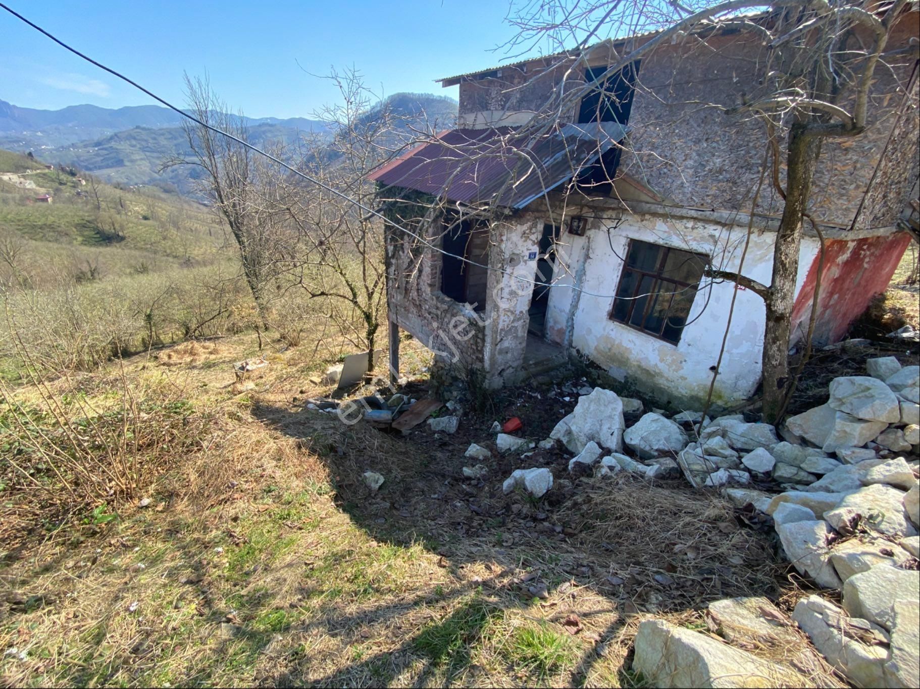 Safir Emlak'tan Alembey'de 11.365m2 Satılık Fındık Bahçesi - Görsel 2