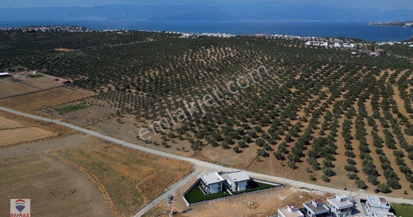 Gömeç Karaağaç Satılık Konut İmarlı Gömeç Karaağaç Da Villa İmarlı Satılık Arsa