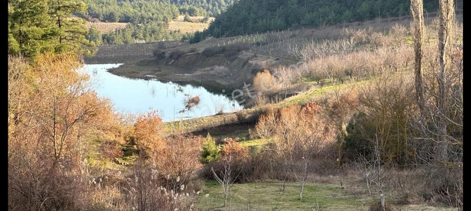 Geyve Sekiharman Satılık Tarla Sakarya Geyve Sekiharman Köyünde 935 M² Ceviz Tarla Gölmanzaralı