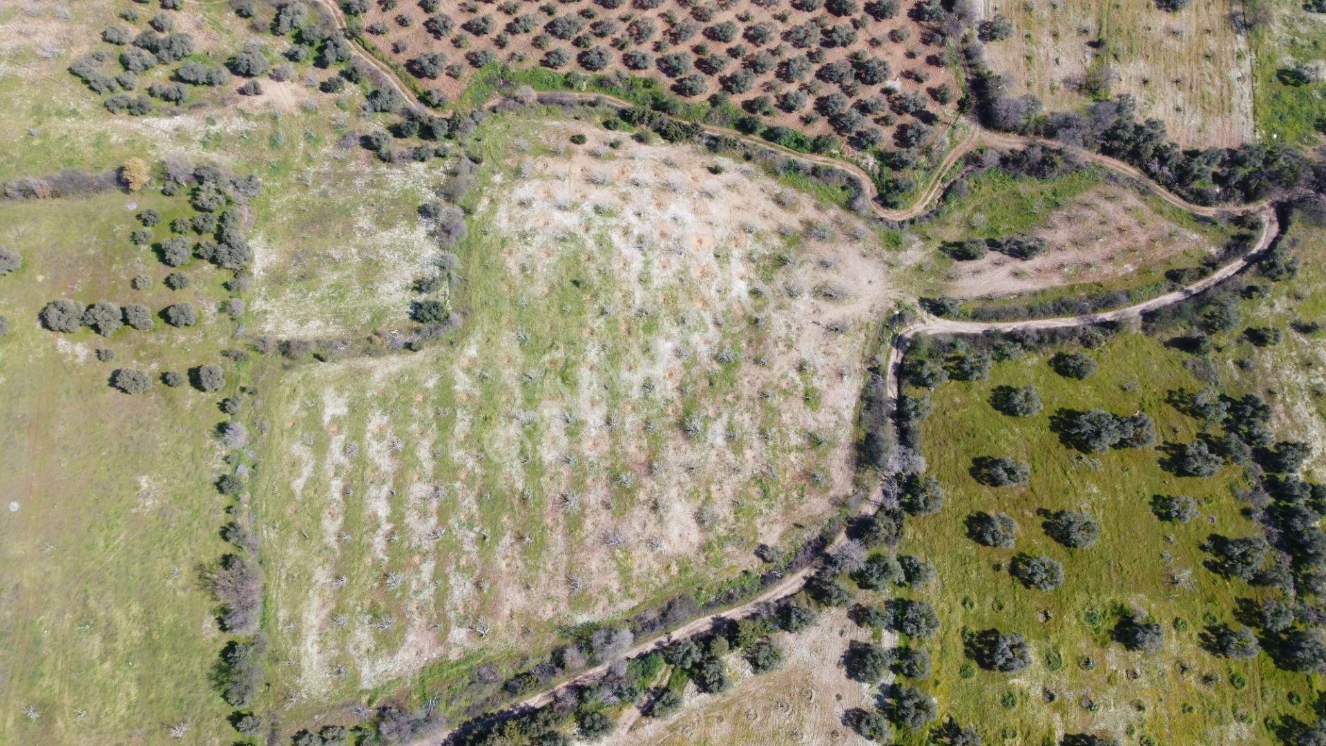 Aydın Köşkte 14.200 M2 Satılık İncirlik - Görsel 7