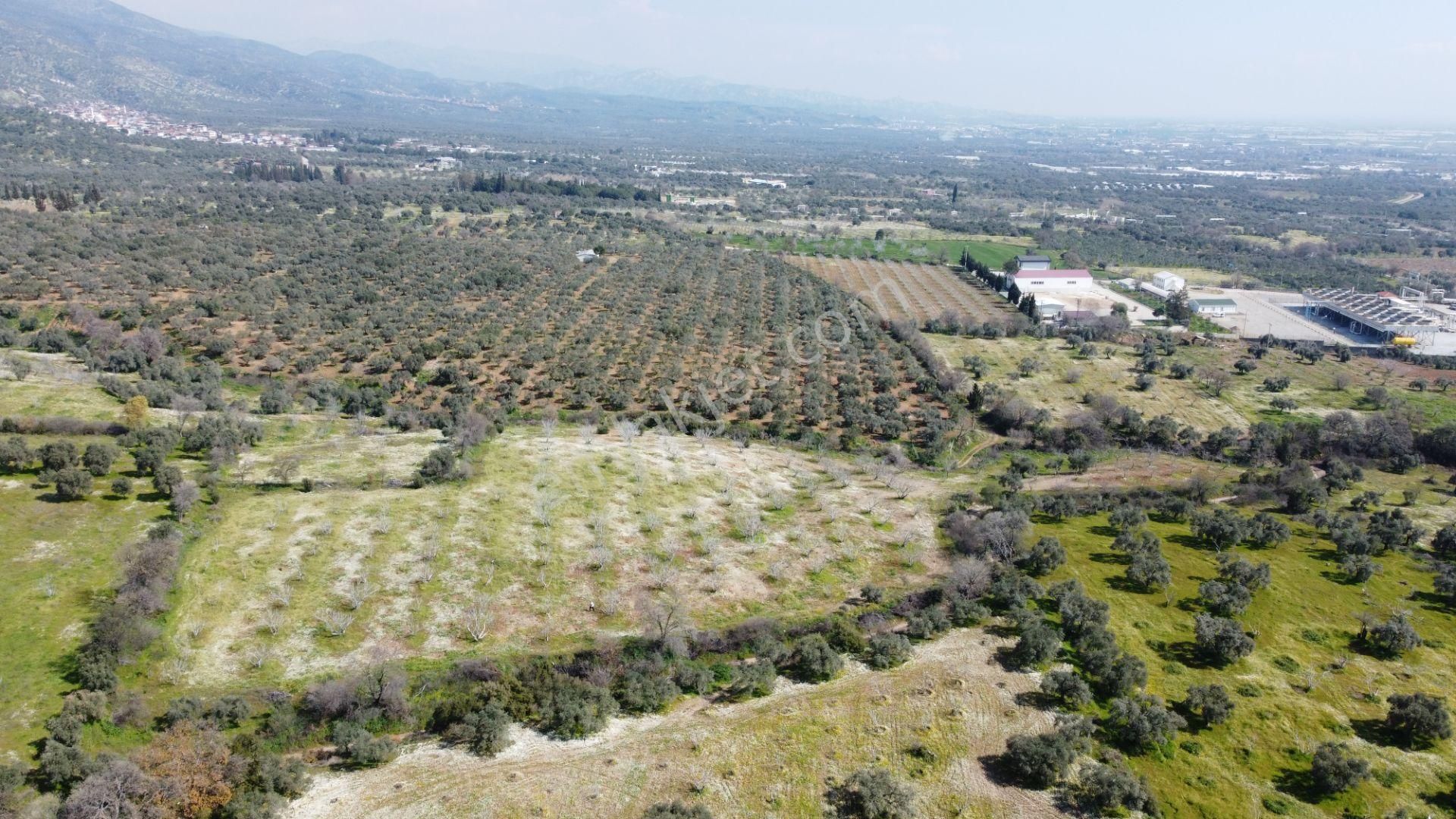 Aydın Köşkte 14.200 M2 Satılık İncirlik - Görsel 9
