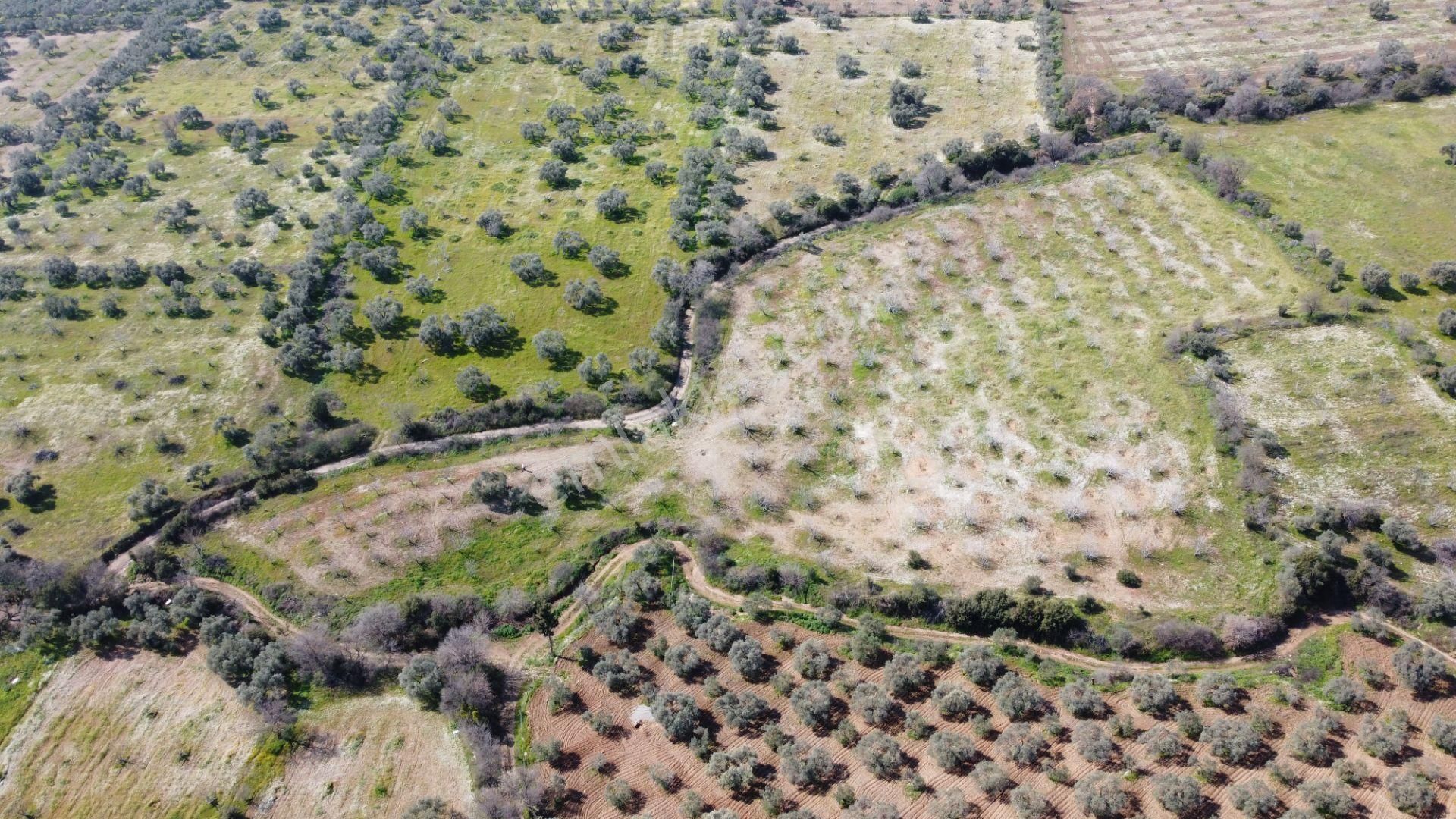 Aydın Köşkte 14.200 M2 Satılık İncirlik - Görsel 3