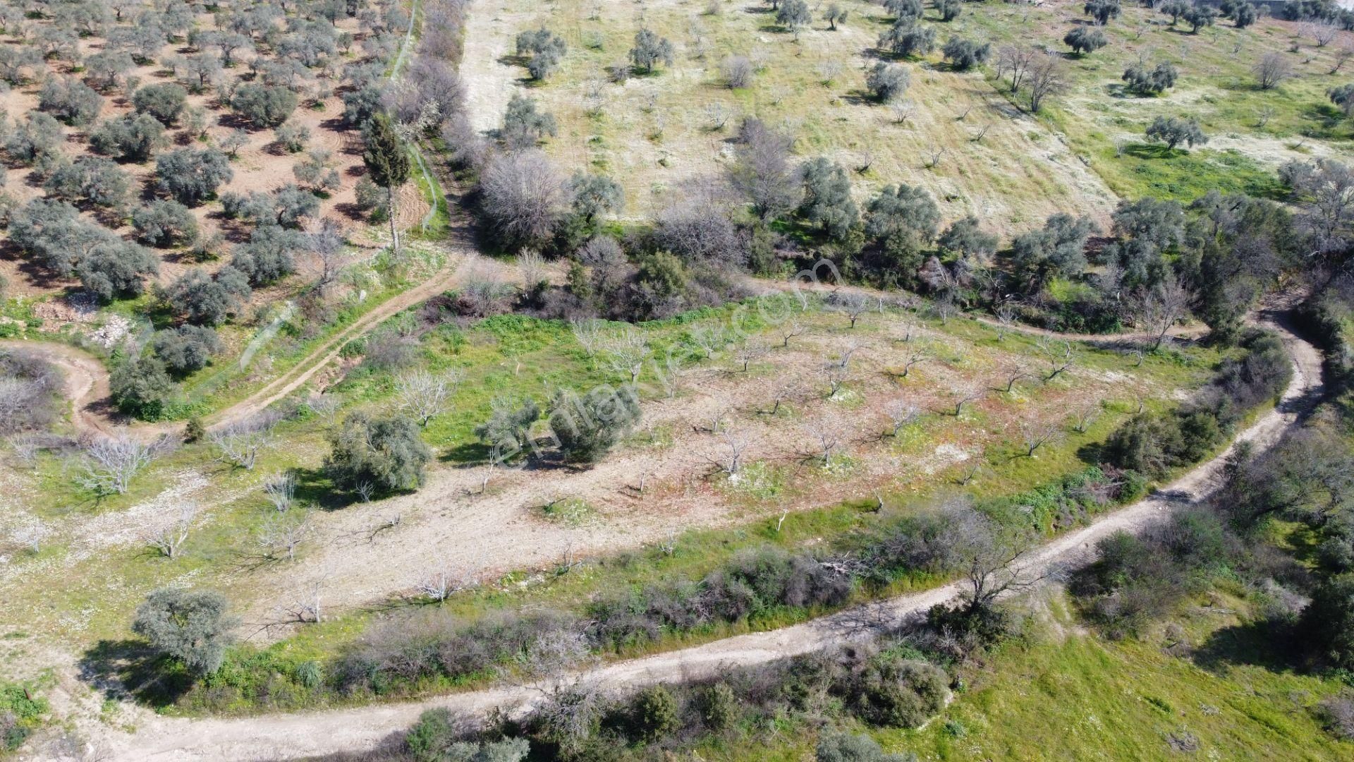 Aydın Köşkte 14.200 M2 Satılık İncirlik - Görsel 8