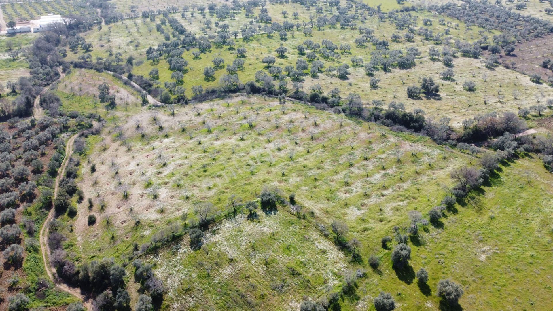 Aydın Köşkte 14.200 M2 Satılık İncirlik - Görsel 4