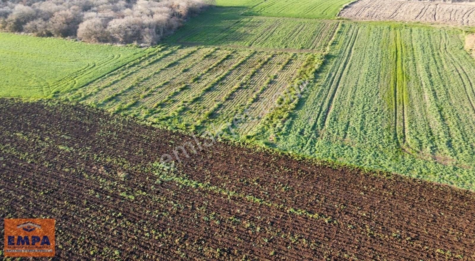 Bandırma Kuşcenneti Satılık Tarla Balıkesir Bandırma Kuşcenneti'nde Göl Manzaralı 2550 M2 Tarla