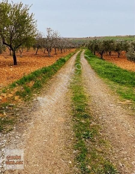 Şahinbey Kürüm Satılık Tarla Çetin Emlak'tan Kürüm'de Satılık Arazi