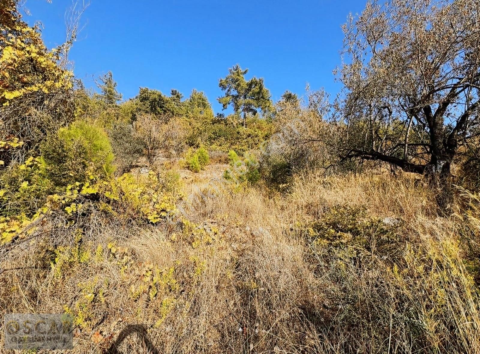 Alanya Karğıcak Üstü 1.267 M2 Bahçe - Görsel 3