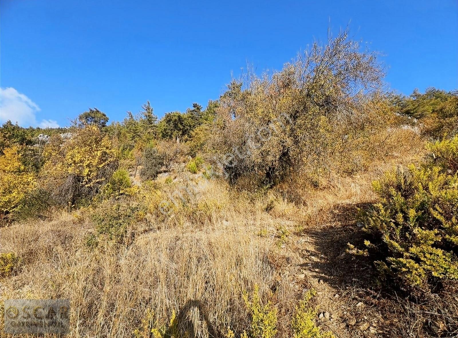 Alanya Karğıcak Üstü 1.267 M2 Bahçe - Görsel 13