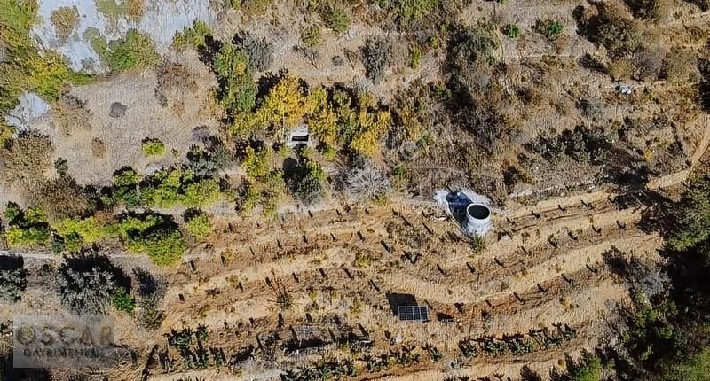Alanya Karğıcak Üstü 1.267 M2 Bahçe - Görsel 5