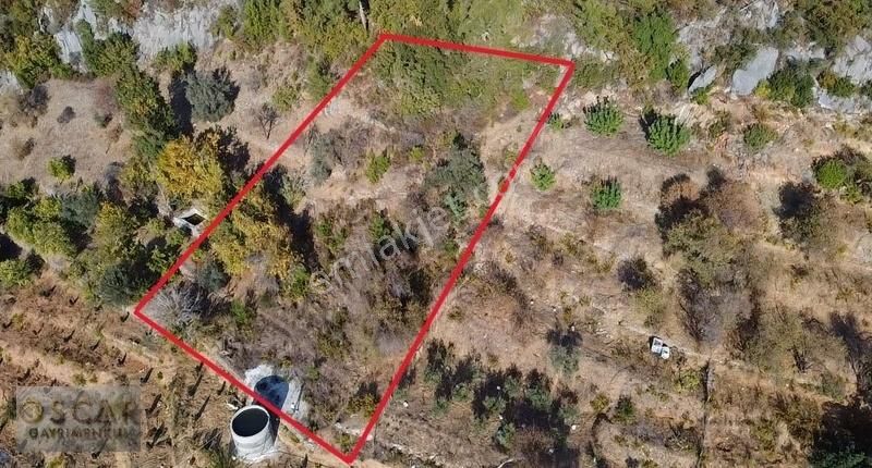 Alanya Karğıcak Üstü 1.267 M2 Bahçe - Görsel 6