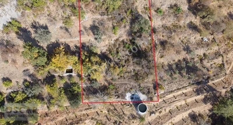 Alanya Karğıcak Üstü 1.267 M2 Bahçe - Görsel 2