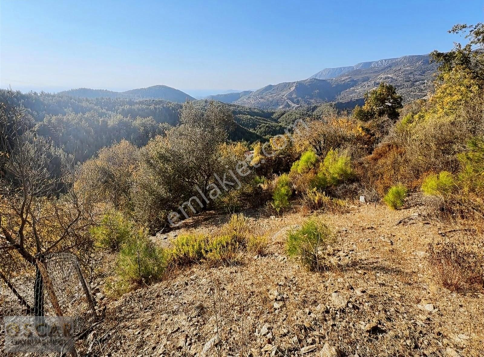 Alanya Karğıcak Üstü 1.267 M2 Bahçe - Görsel 8