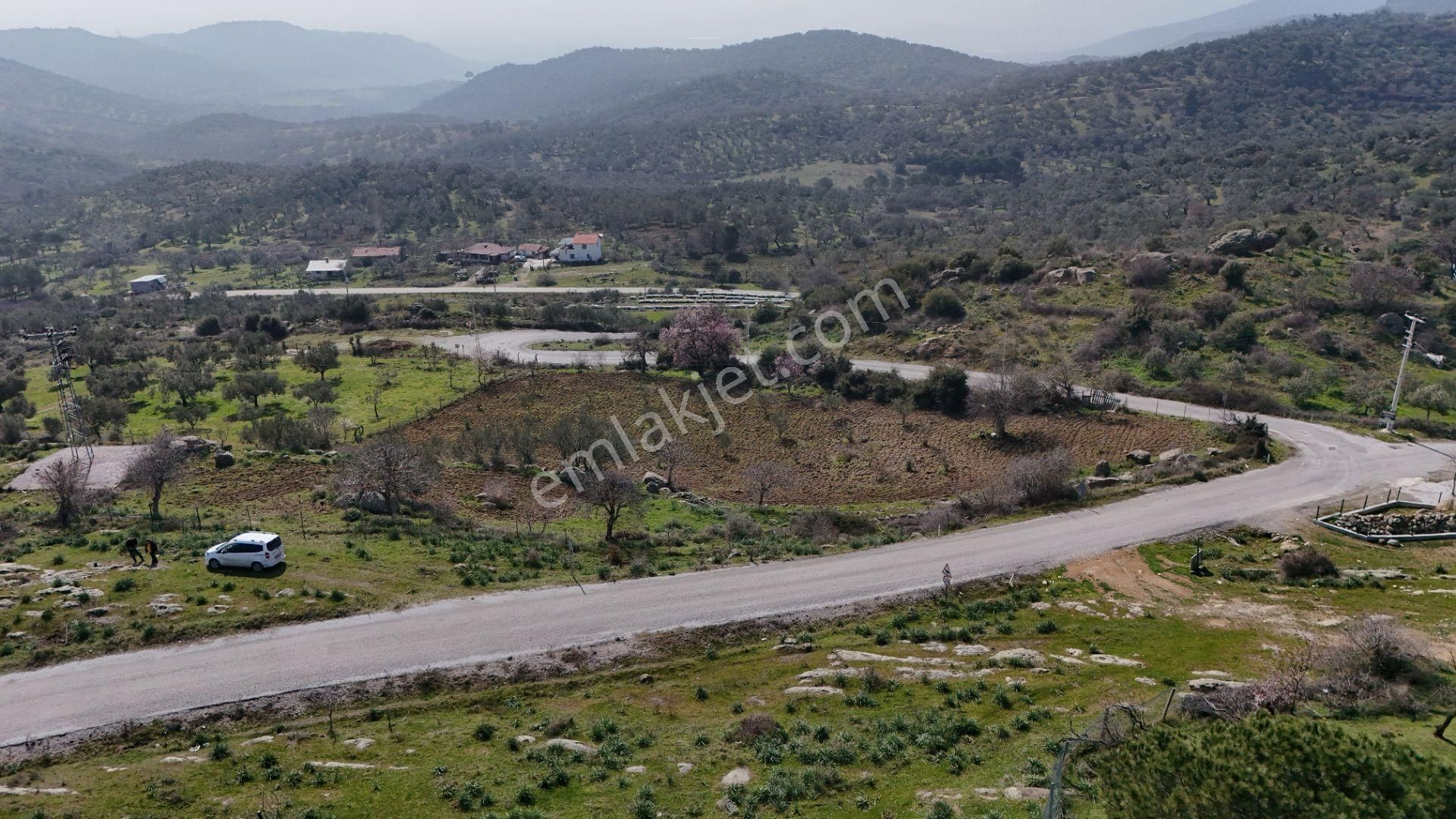 Dikili Yenice Satılık Tarla Turpa Arxes Dikili'den Yenice Mahallesinde Köy Merkezinde Tarla Satılıktır.