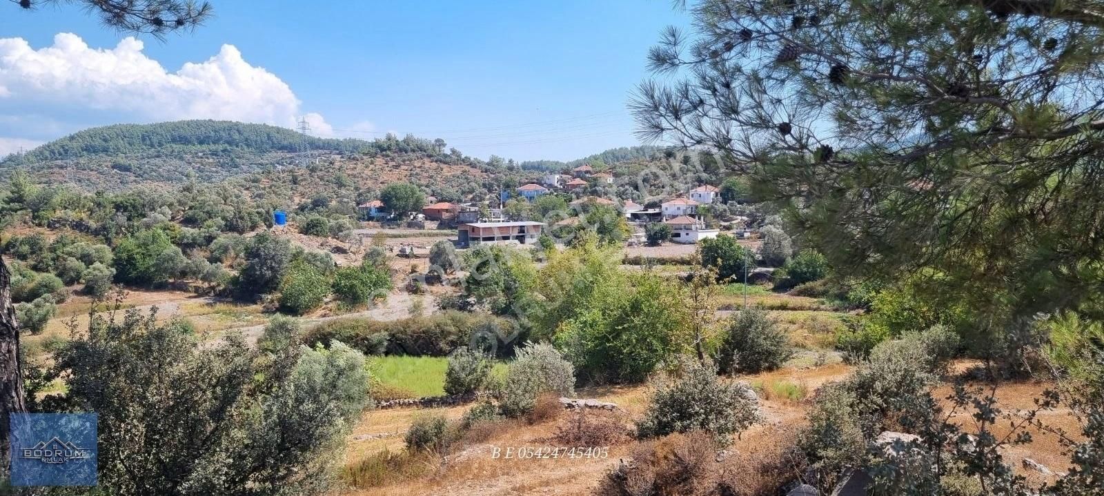 Milas Çiftlik Satılık Bağ & Bahçe Bodrum Mumcular Yakını Milas Çiftlik Köyü