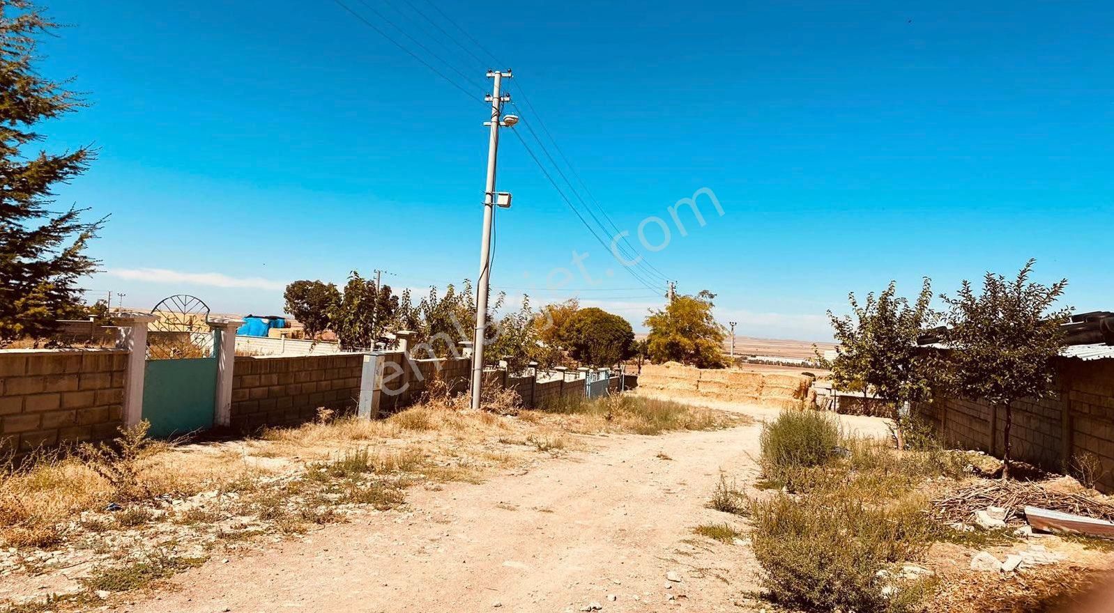Acilll !! Karaman'da Yatırımlık Ve Kullanıma Hazır Çiftlik - Görsel 9