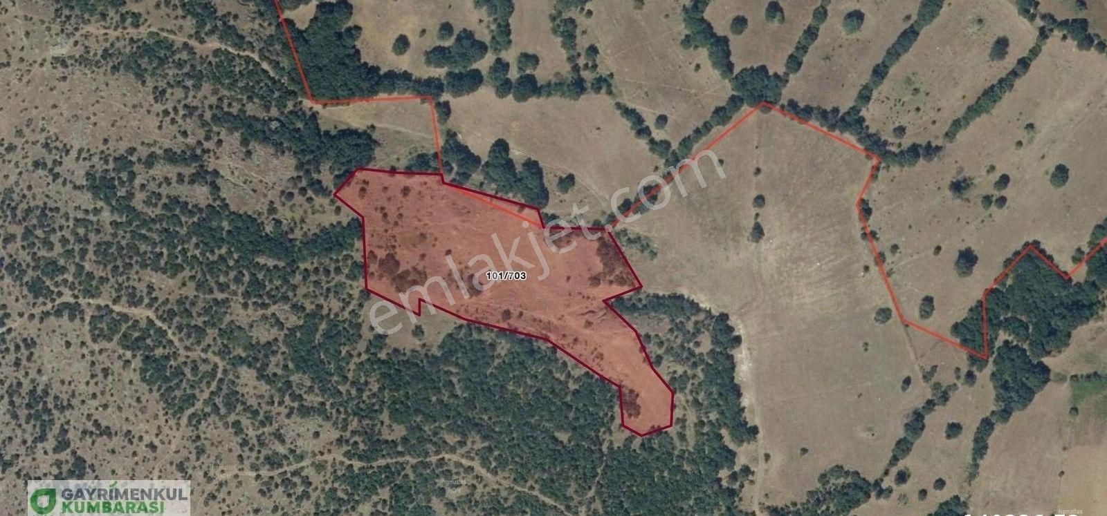 Kepsut Sayacık Satılık Tarla Balıkesir Kepsut Sayacık Mah. 11.345 M2 Arazi Satılıktır