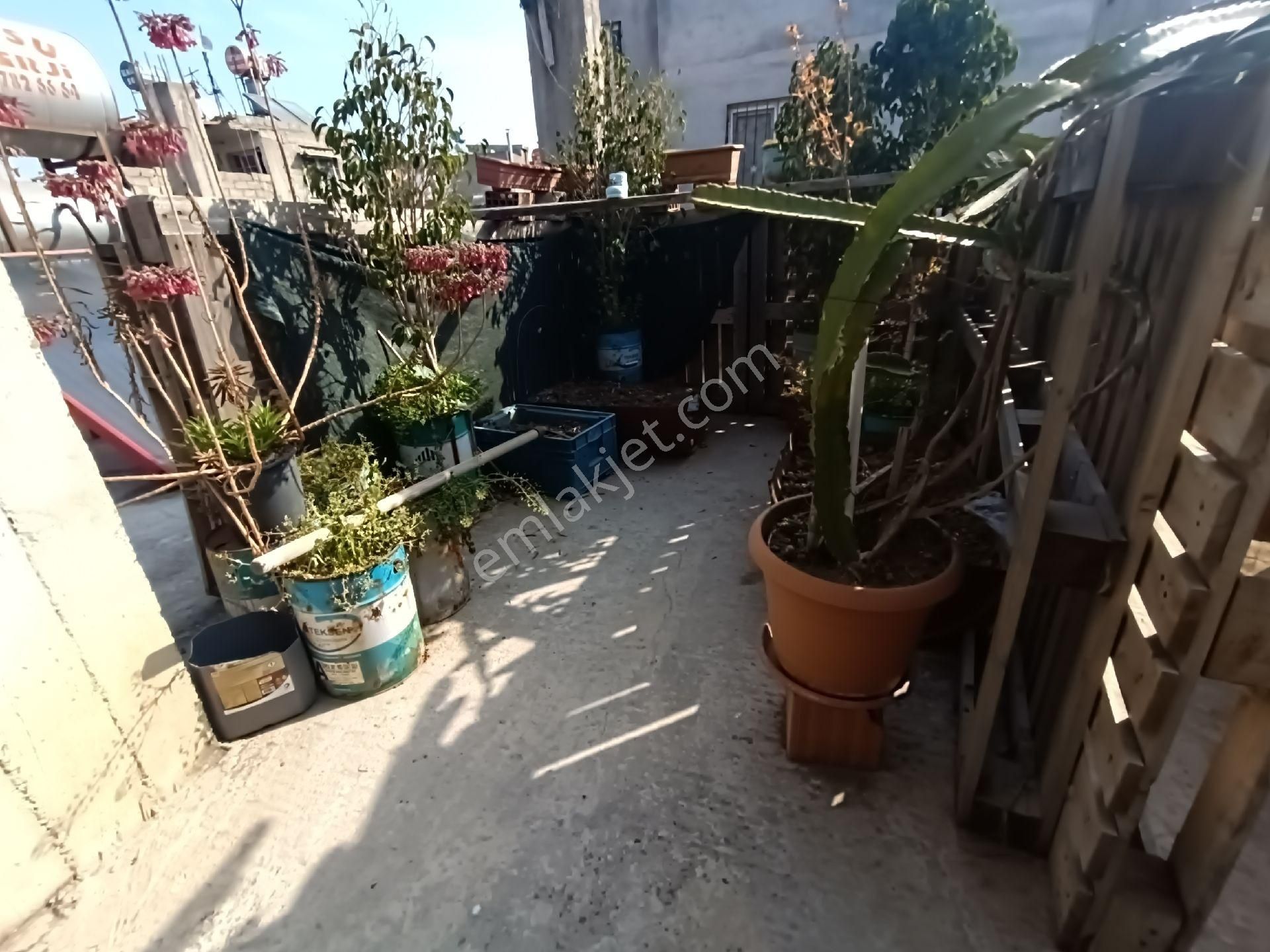 Sucuzade Mah.çarşı Merkez'de Güney Kuşak Bulvar'a 2'ci Parsel 180 M² Tapu'lukomple Satılık Müstakil - Görsel 23