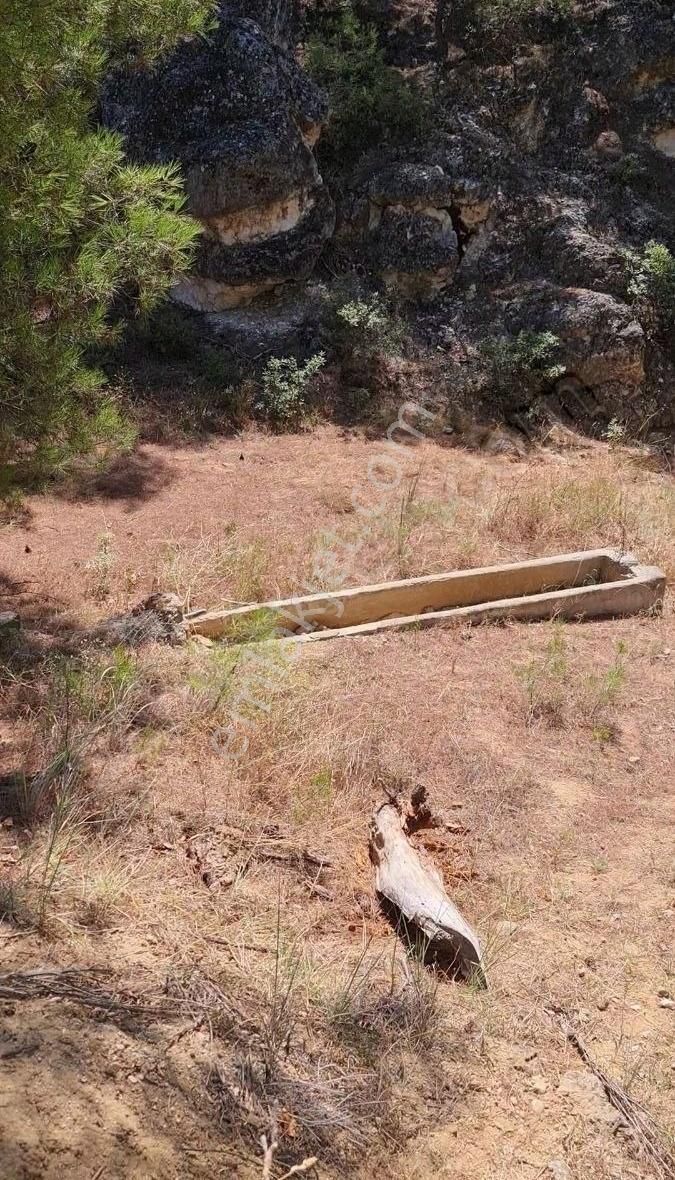 Bilecik Merkez Deresakarı Köyü Satılık Tarla 3600 M2 İstanbul Yoluna 10 Dk Kaçırılmayacak Fırsat