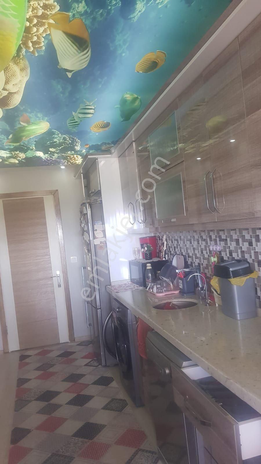 Rota’dan Sahile Yakın Müstakil Ev - Görsel 14