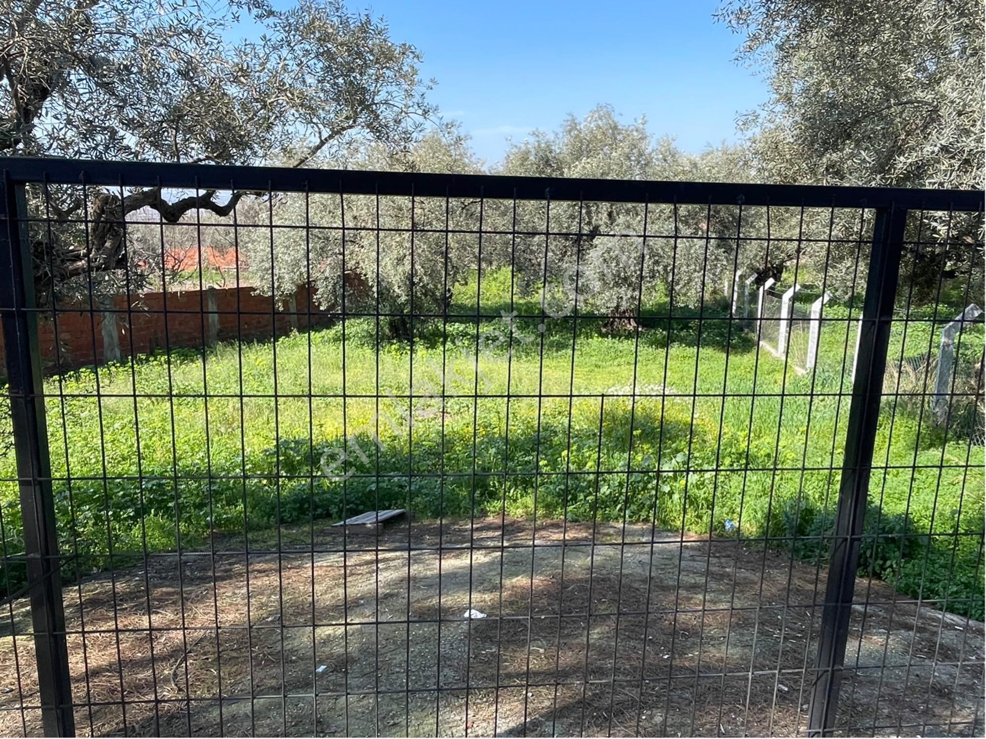 Kemalpaşa Sarılar Köyünde Villa İmarlı Arsa - Görsel 2