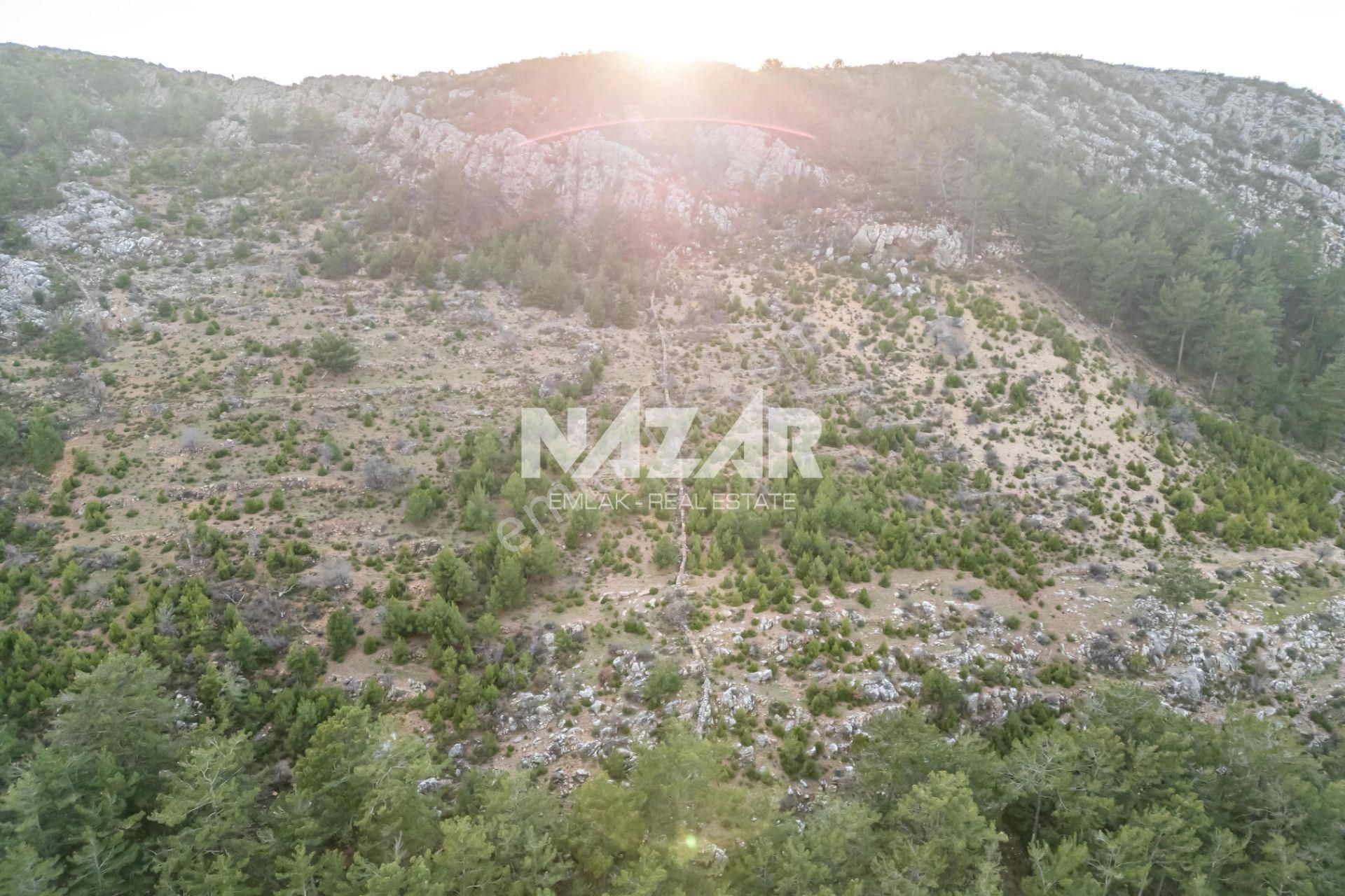 Alanya Çamlıca'da 6.164 M² Satılık Tarla