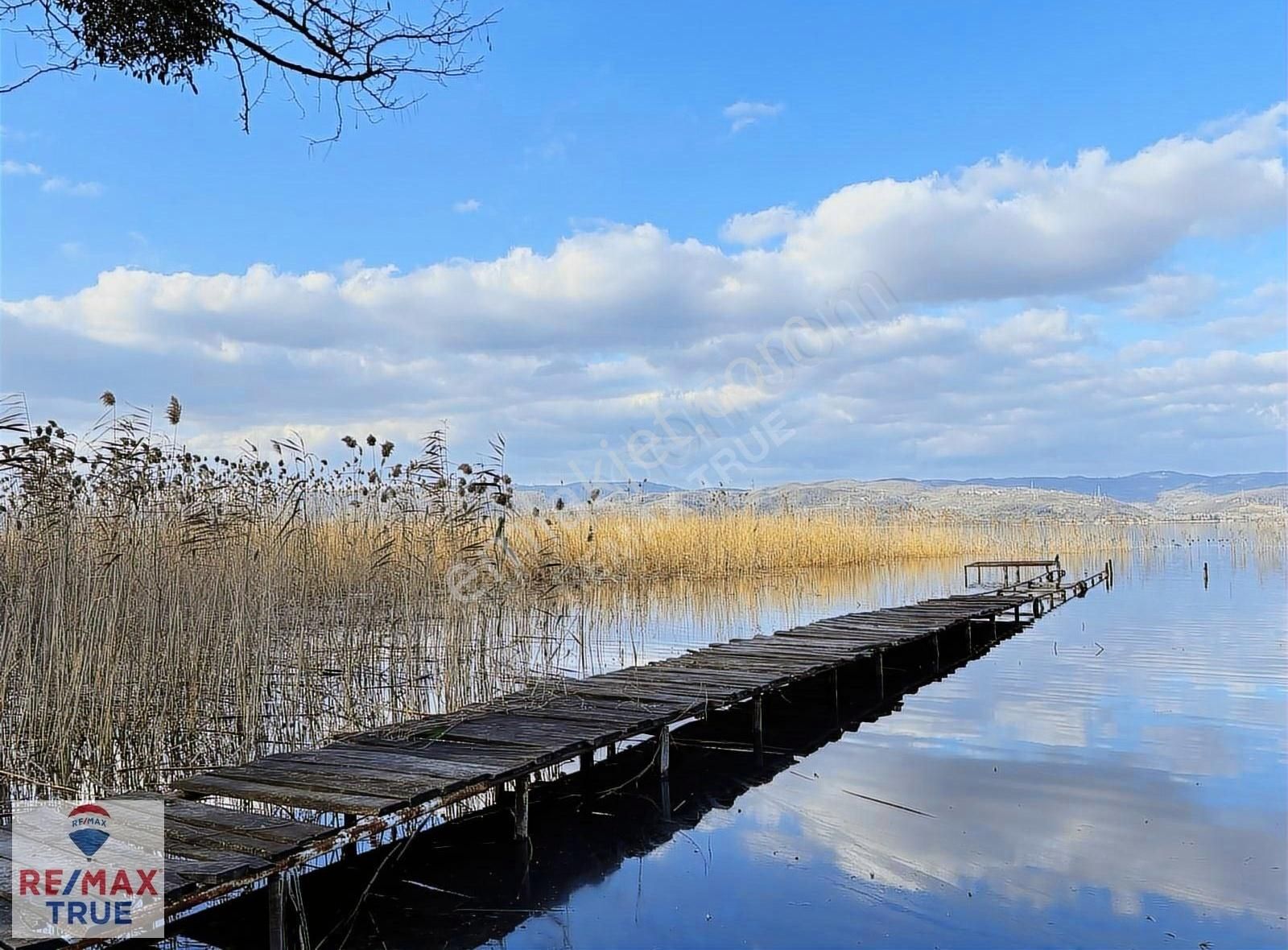 Sapanca Rüstempasa Satılık Tarla Sapanca'da Sahile Sıfır Bungalov Yapımına Uygun Satılık Arazi