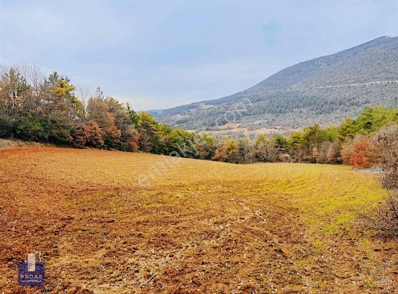 Osmaneli Avdan Köyü Satılık Tarla 6.900 M2 Kupon Arazi Kısa Surelıgıne