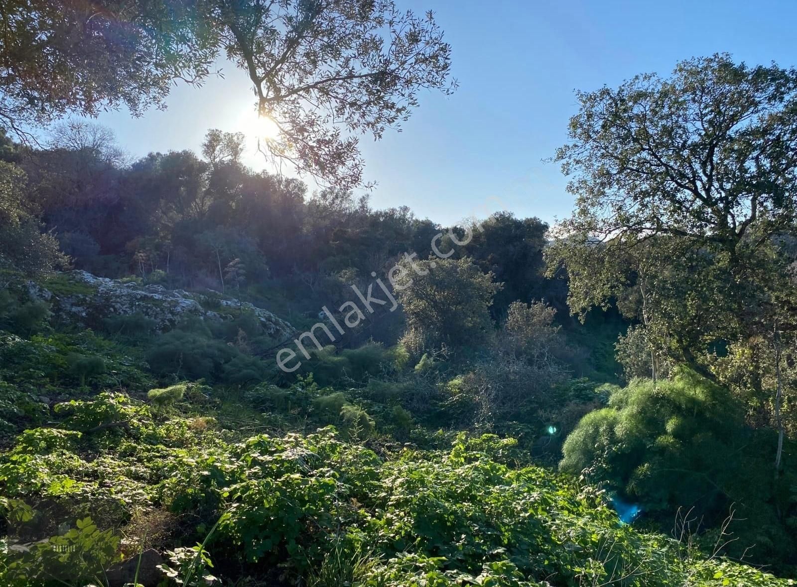 Bodrum Yalıkavak'ta Deniz Manzaralı Arsa - Görsel 6