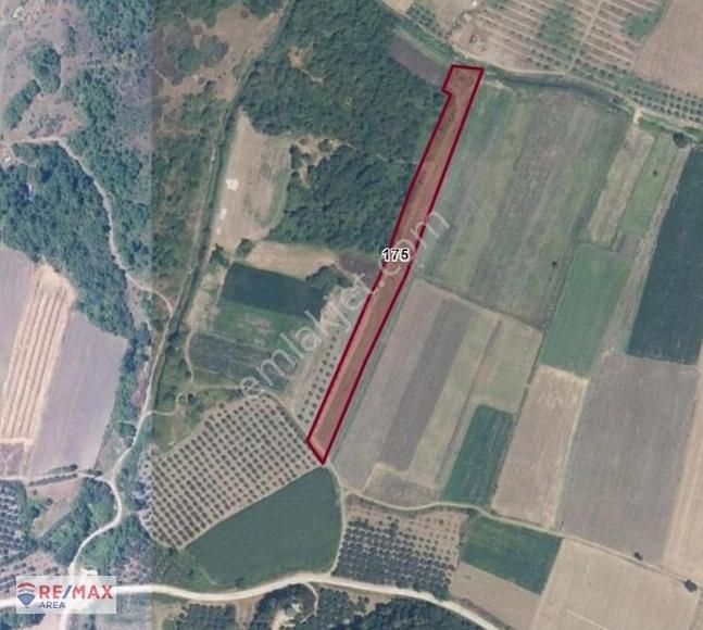 Remax Area'dan Karacabey Ekinli'de Satılık Verimli Arazi - Görsel 6