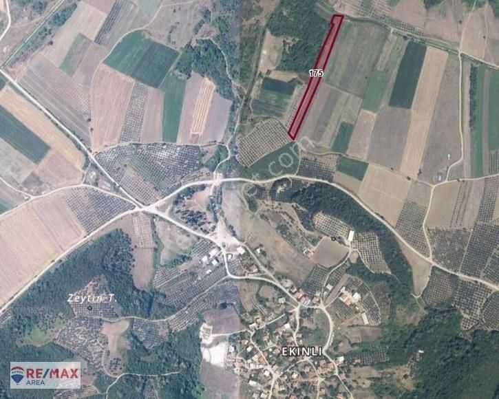 Remax Area'dan Karacabey Ekinli'de Satılık Verimli Arazi - Görsel 4