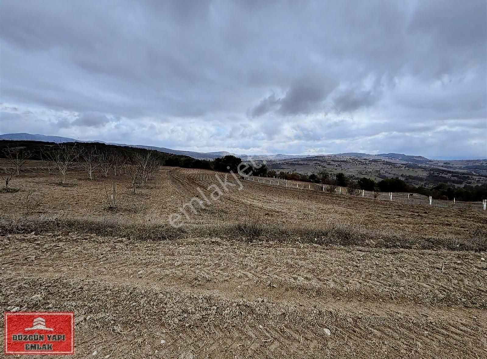 Yenipazar Esenköy Köyü (Tekeciler) Satılık Tarla Bilecik Yenipazar Esenköy De Resmı Yollı 3.036 M2 Kupon Arazi