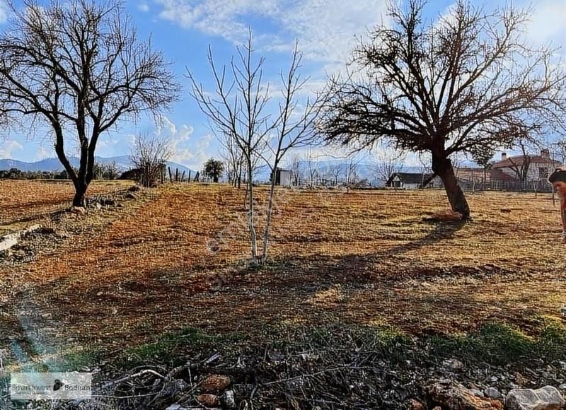 Menteşe Şenyayla Satılık Tarla Muğla Şenyayla İmarlı Tarla