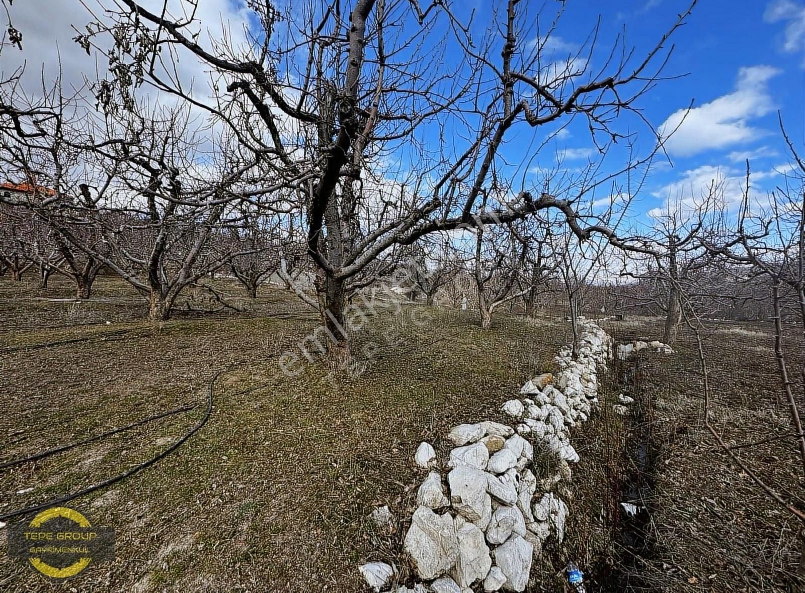 Kaş Gömbe Satılık Konut İmarlı Antalya Kaş Yayla Kapaklı'da 1176 M2 Tek Tapu Satılık Arsa