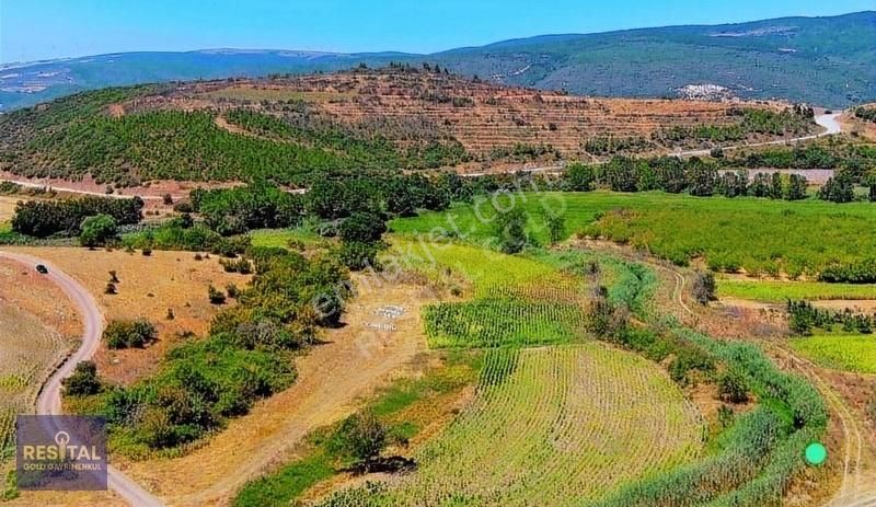 Karacabey Canbaz Satılık Tarla Bursa Karacabey Canbaz Da Satılık Arazi