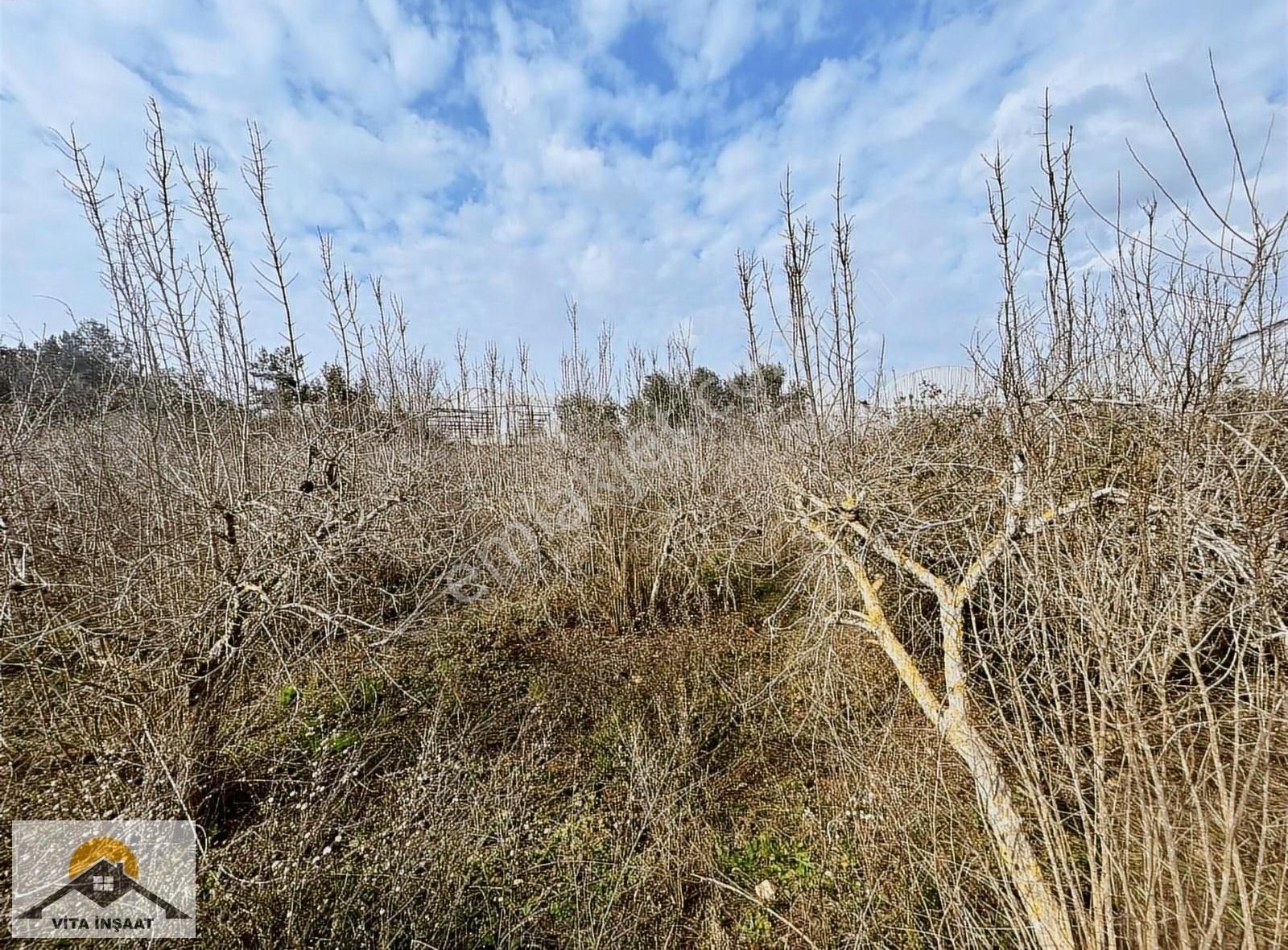 Kepez Gaziler'de Satılık Nar Bahçesi-sondaj-ev-elektrik-su - Görsel 9