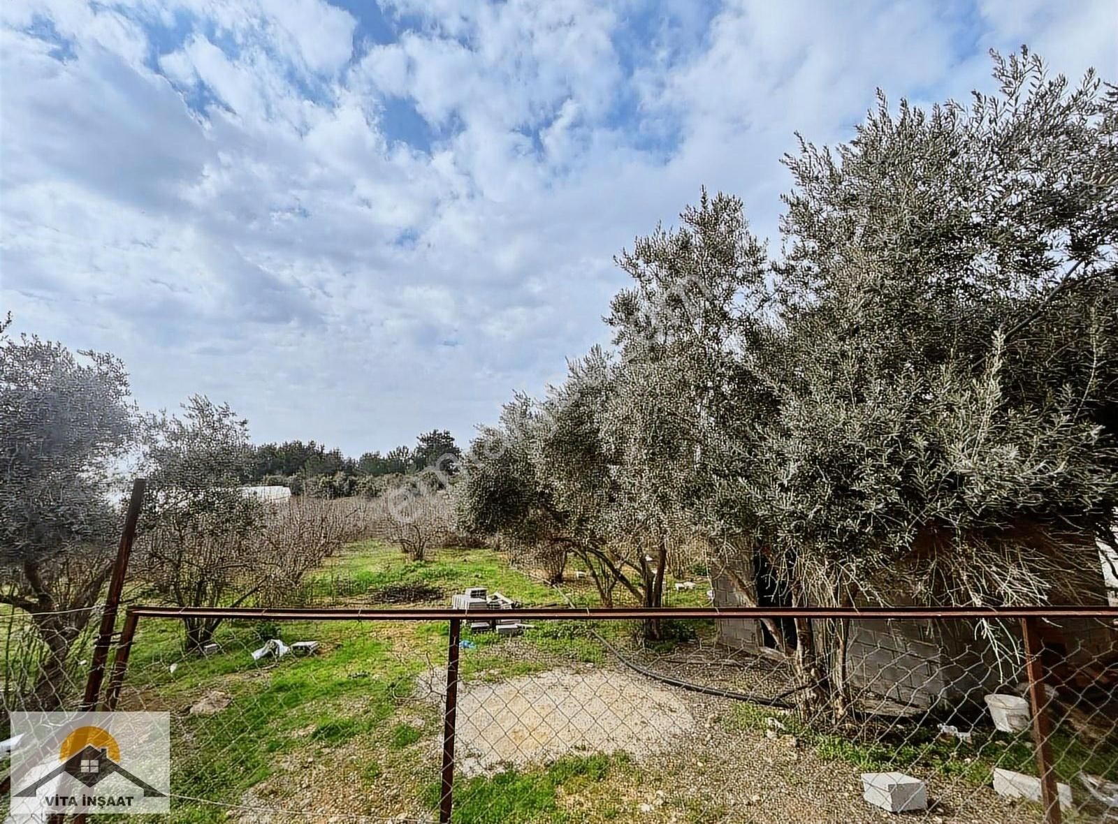 Kepez Gaziler'de Satılık Nar Bahçesi-sondaj-ev-elektrik-su - Görsel 15