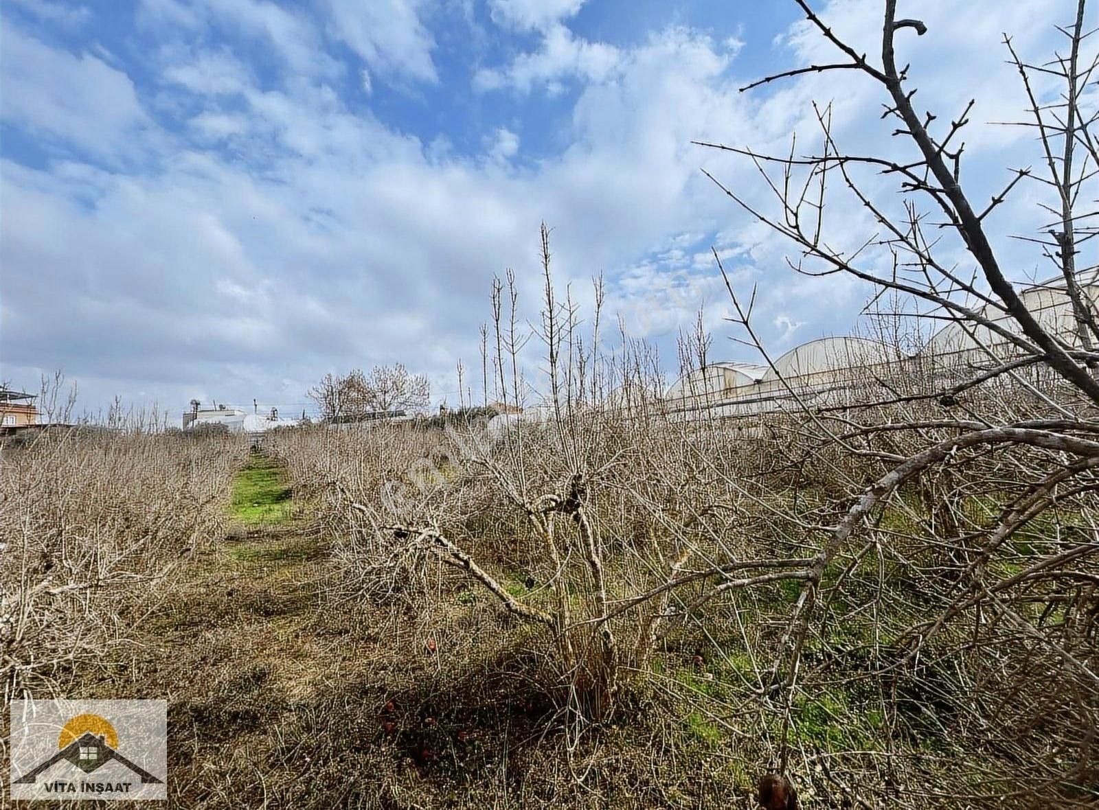 Kepez Gaziler'de Satılık Nar Bahçesi-sondaj-ev-elektrik-su - Görsel 16
