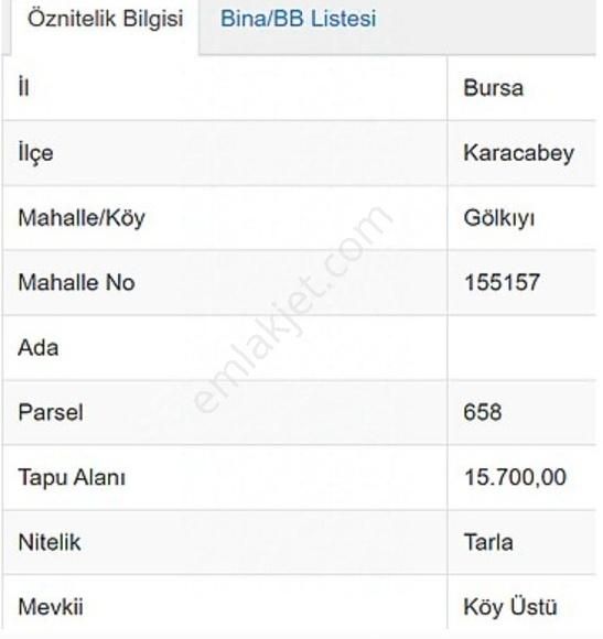 Karacabey Gölkıyı Satılık Tarla Karacabey Gölkıyı Da Satılık Mükemmel Arazi