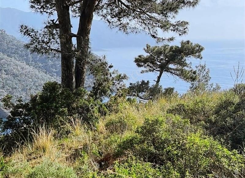 Faralya Kabakta Satılık Tarla - Görsel 23